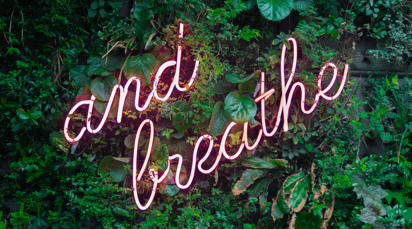 Neon sign with and breathe on garden wall background